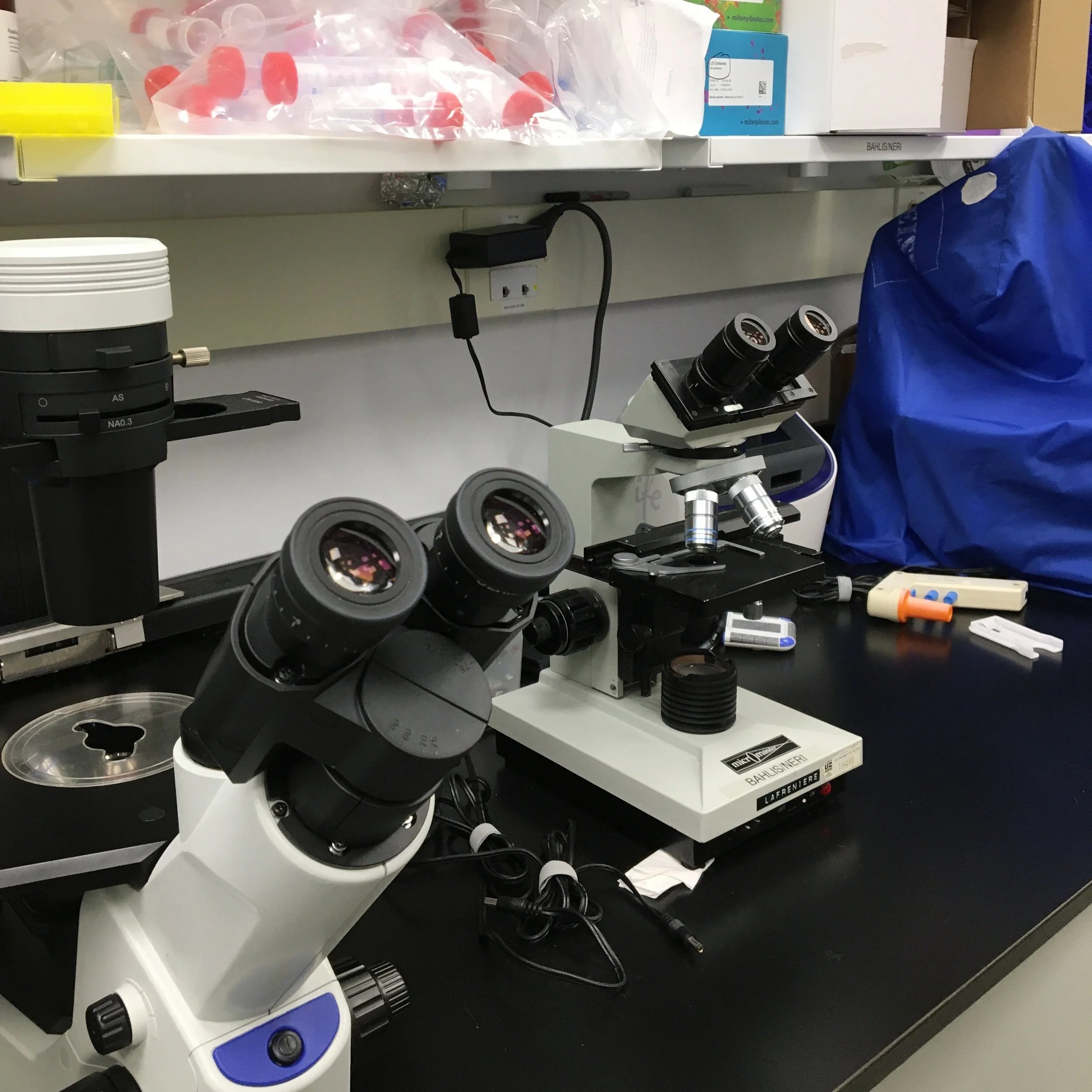 A Visit to the Myeloma Research Lab