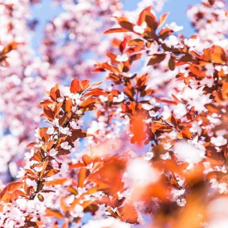 Register for the Spring Conference May 4, 2024