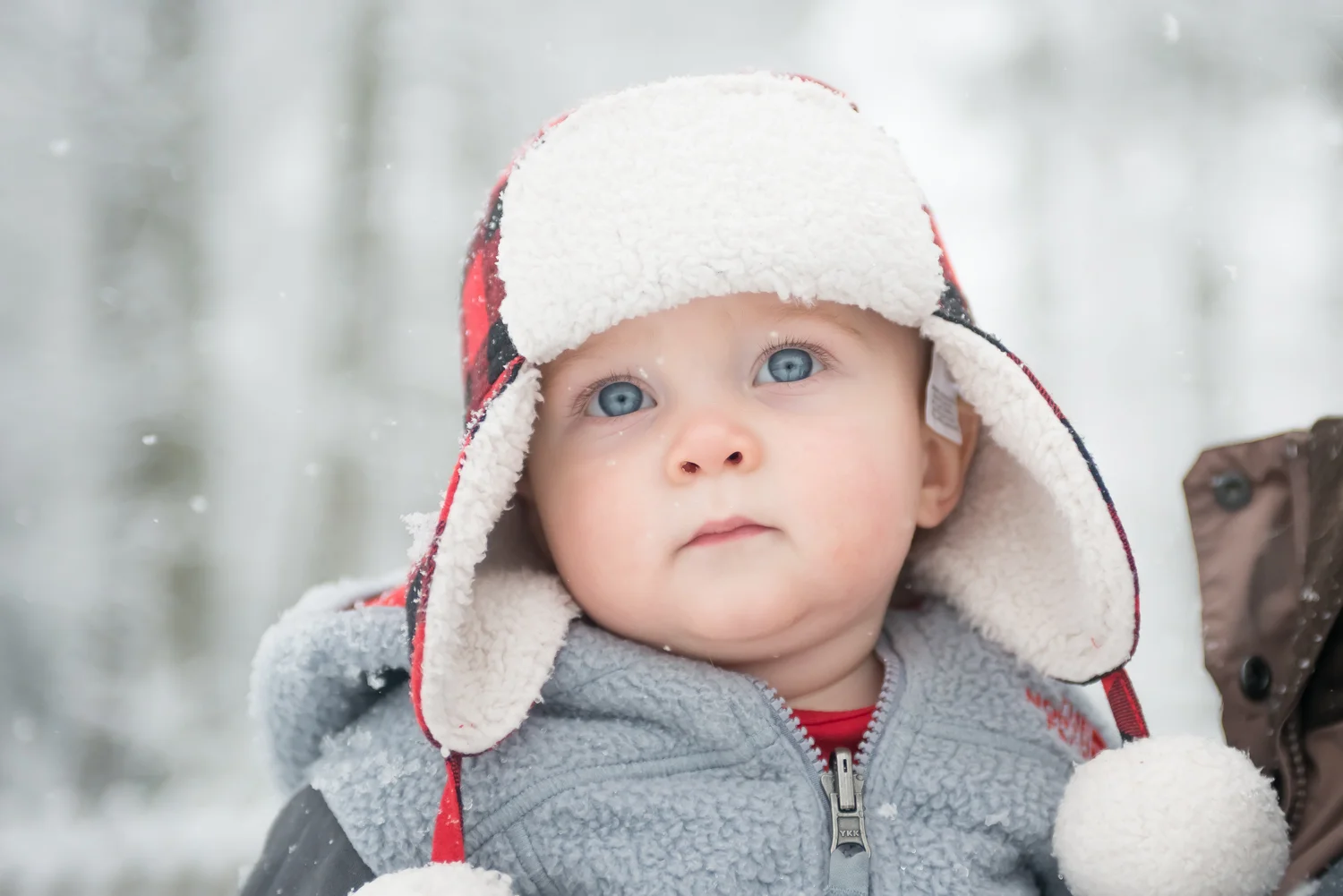 Jack's First Snow-14.jpg