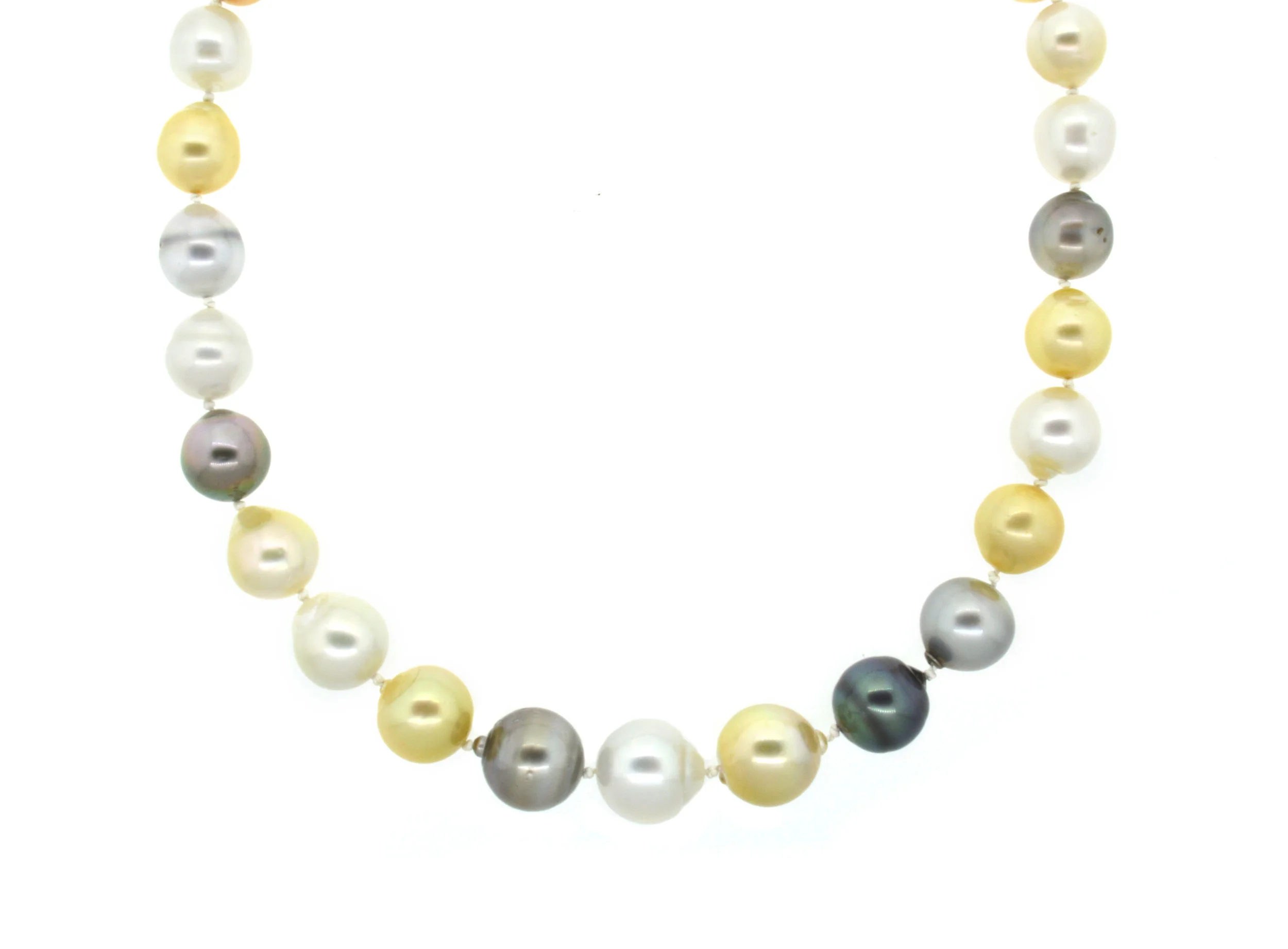 PNL-10276.jpg