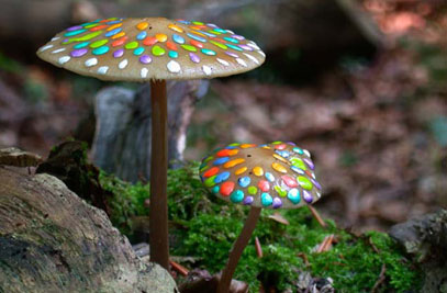   Painted Mushrooms (#52),  2002  Photograph 
