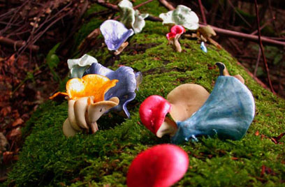  Painted Mushrooms (#60),  2002  Photograph 