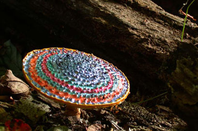   Painted Mushrooms (#63  ),  2002  Photograph 