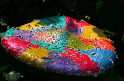 Painted Mushrooms (#72), 2002 Photograph
