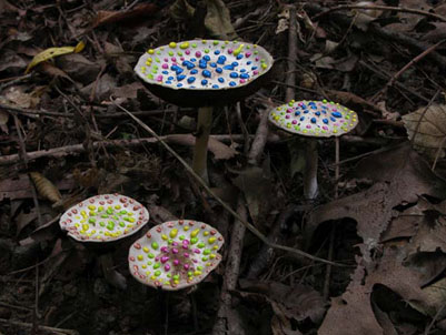   Painted Mushrooms (Illinois),  2003  Photograph 
