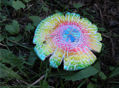   Painted Mushrooms (Wisconsin),  2003  Photograph 