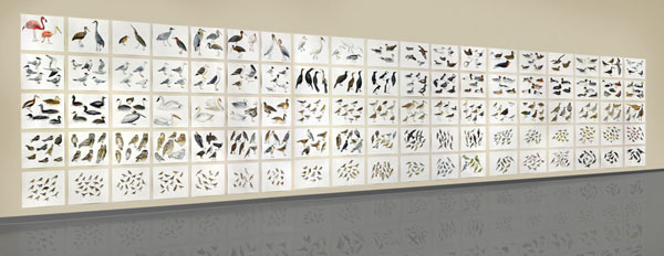   Post-Audubon, Birds of North America, left, one-third of installation,  2008  103" x 154", 95@ 19" x 24" Sharpie/watercolor on paper 