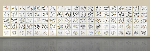   Post-Audubon, Birds of North America, left, one-third of installation,  2008  103" x 154", 95@ 19" x 24" Sharpie/watercolor on paper 