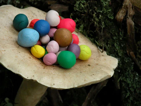 Untitled (fungi) 2004 Photograph