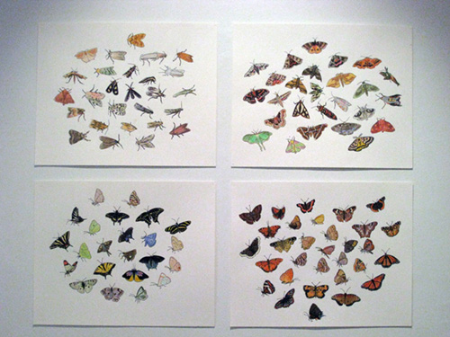   Post Audubon: Birds &amp; Insects,  2009  Arsenal Gallery in Central Park  New York, NY 