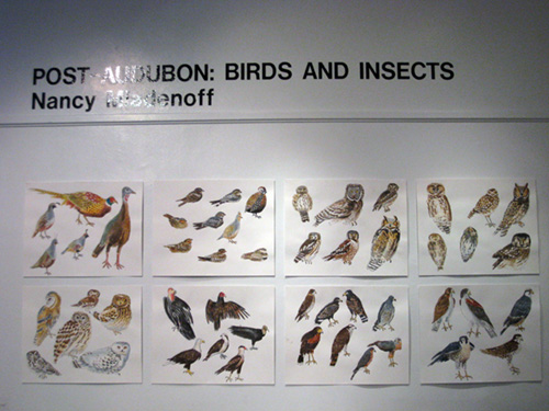   Post Audubon: Birds &amp; Insects,  2009  Arsenal Gallery in Central Park  New York, NY 