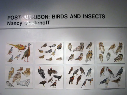 Post Audubon: Birds & Insects, 2009 Arsenal Gallery in Central Park New York, NY