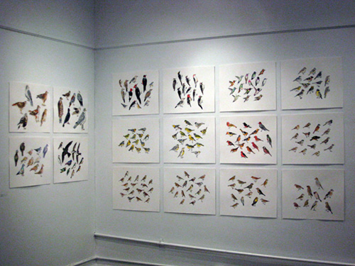   Post Audubon: Birds &amp; Insects,  2009  Arsenal Gallery in Central Park  New York, NY 