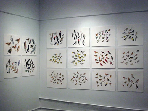 Post Audubon: Birds & Insects, 2009 Arsenal Gallery in Central Park New York, NY