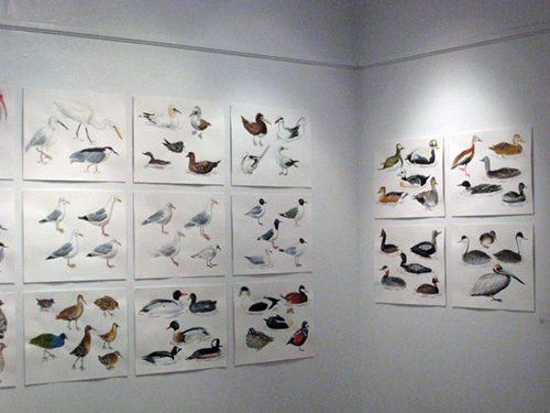   Post Audubon: Birds &amp; Insects,  2009  Arsenal Gallery in Central Park  New York, NY 