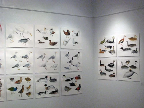Post Audubon: Birds & Insects, 2009 Arsenal Gallery in Central Park New York, NY