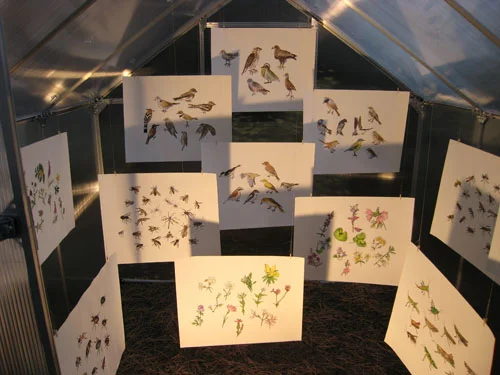 German Plants, Insects & Birds, 2007 WintergARTen, Volgelfrei 7 Darmstadt, Germany
