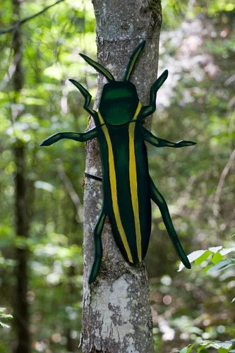 Two-lined Chestnut Borer (native & invasive), 2007 Enamel on plywood Forest Art Wisconsin, Northern Highland-American Legion State Forest