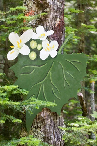 Garlic Mustard (invasive), 2007 Enamel on plywood Forest Art Wisconsin, Northern Highland-American Legion State Forest