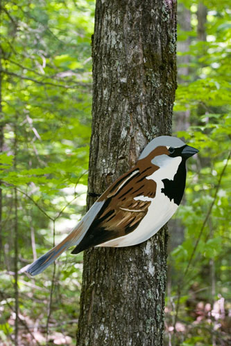   House Sparrow (invasive),  2007  Enamel on plywood  Forest Art Wisconsin, Northern Highland-American Legion State Forest 