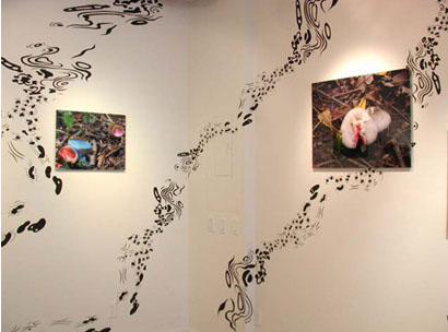   hush you mushrooms...,  2003  (October 18-November 22)   Wendy Cooper Gallery  Madison, WI  Wall painting/photography installation 