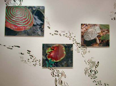   hush you mushrooms...,  2003  (October 18-November 22)   Wendy Cooper Gallery  Madison, WI  Wall painting/photography installation 
