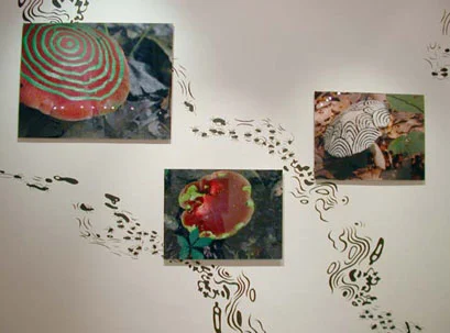 hush you mushrooms..., 2003 (October 18-November 22) Wendy Cooper Gallery Madison, WI Wall painting/photography installation
