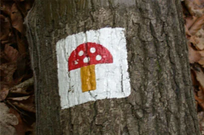 Trail Marker, 2002 Darmstadt, Germany