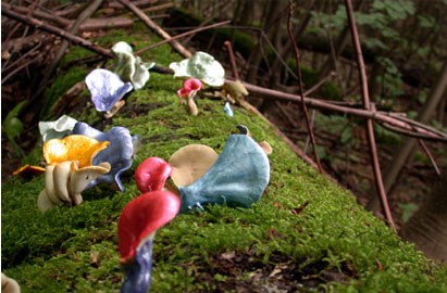   Painted Mushrooms,  2002  Darmstadt, Germany 