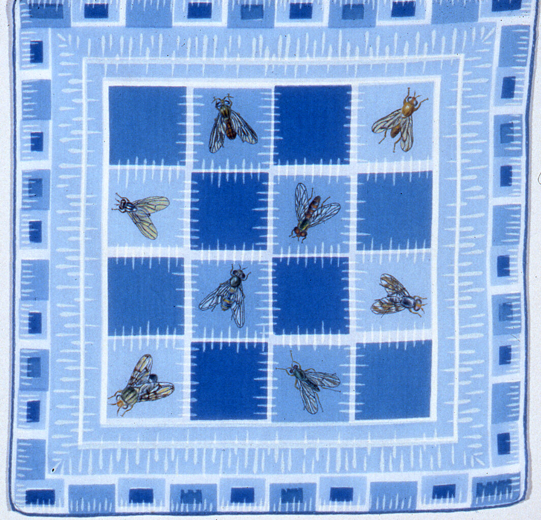   Flies   14.5”x14.25”  acrylic on printed handkerchief  2000 