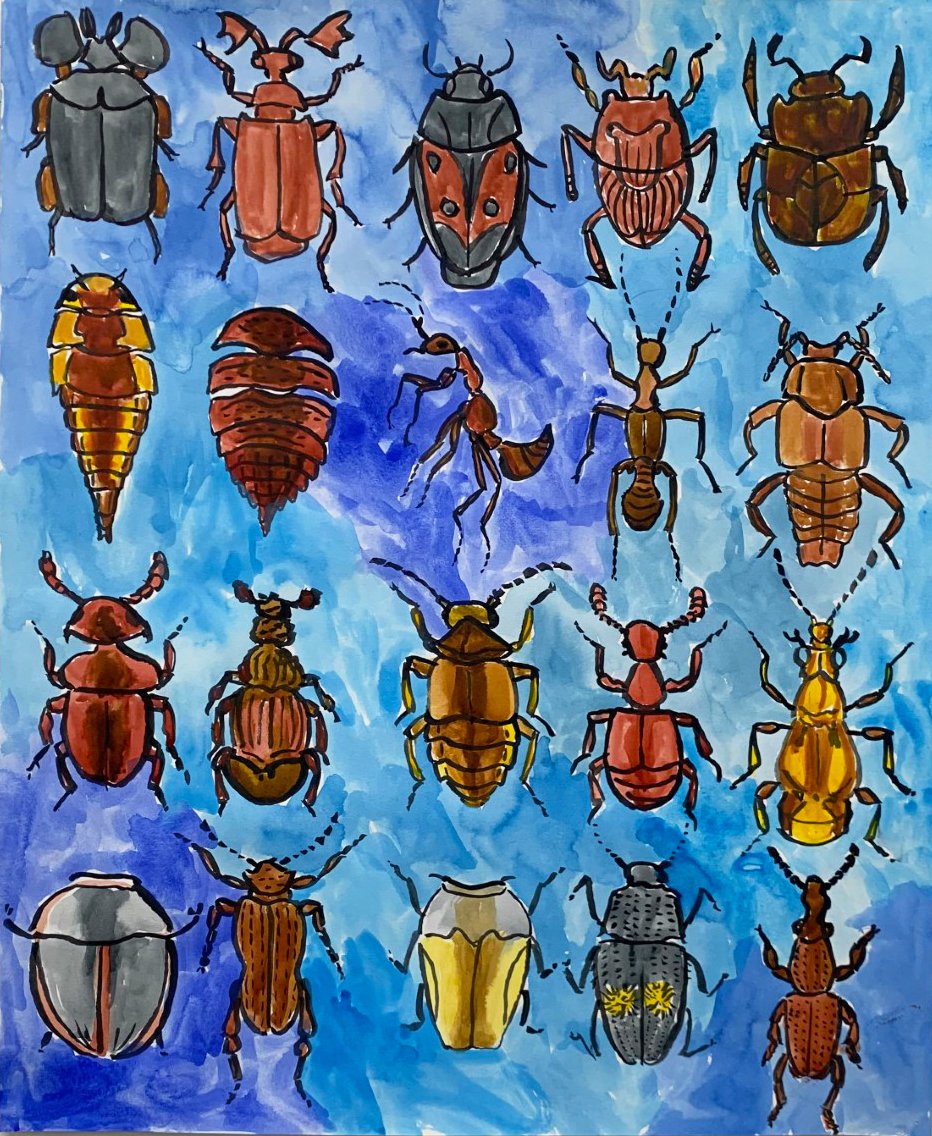   Insect Sampler   ink on paper  17”x14”  2021 