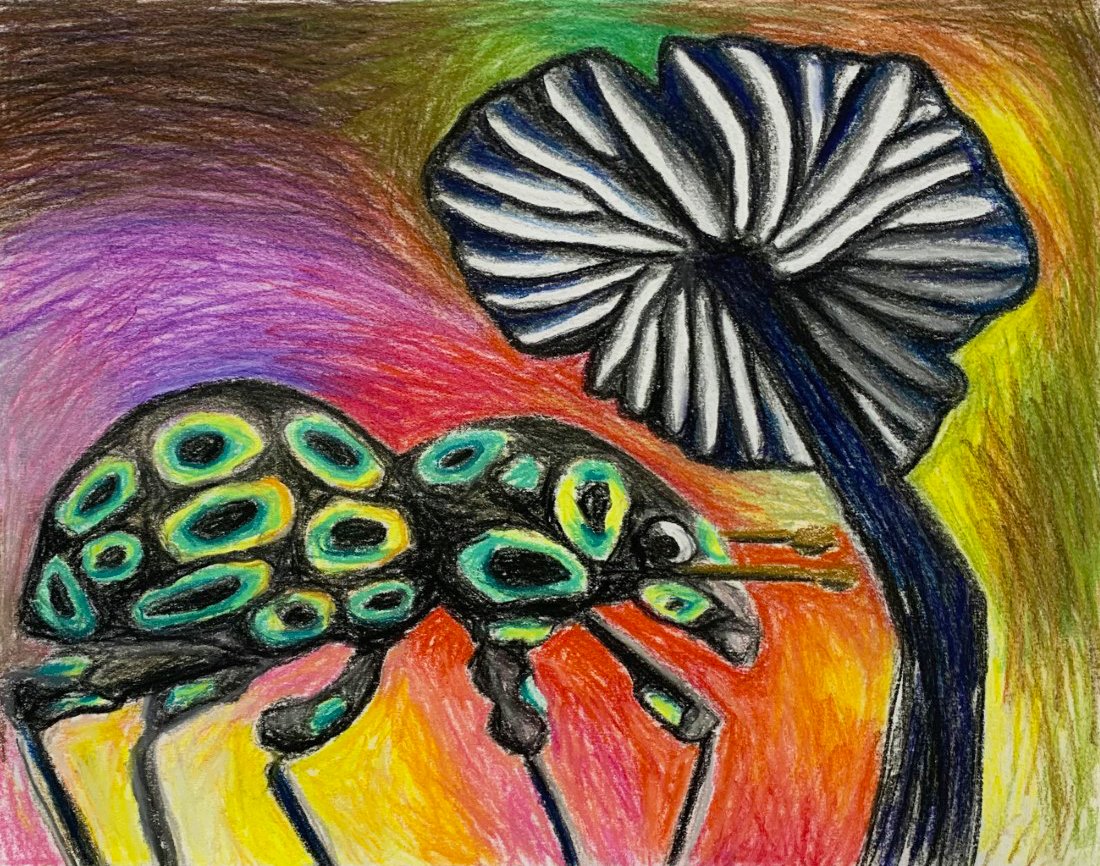  Weevil &amp; Mushroom   conte pastel pencils on paper  11”x14”  2022  