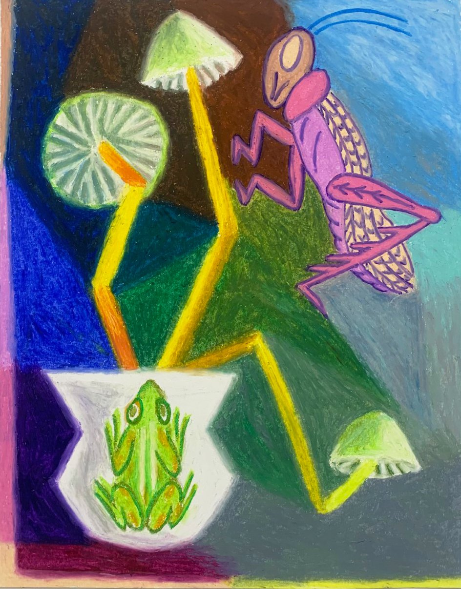   Untitled Still Life 2   conte pastel pencils on paper  2022 