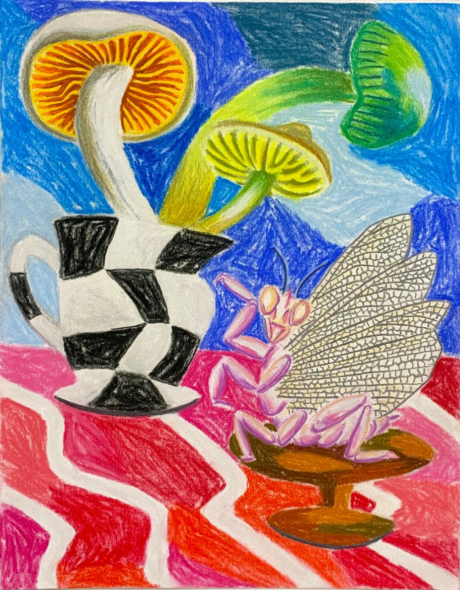   Untitled Still Life4   pastel pencils on paper  14”x11”   2022 