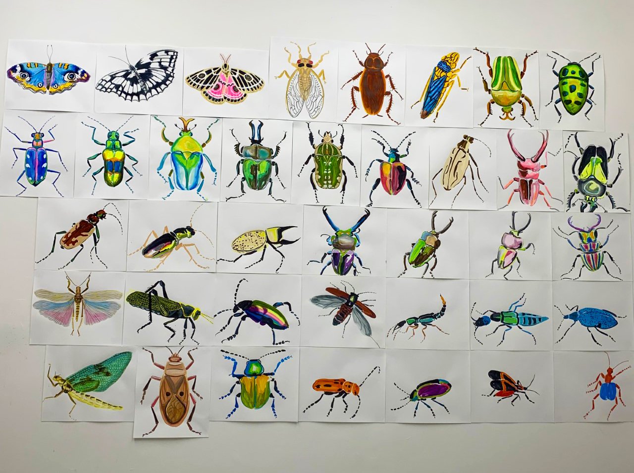   Wall of Insects   acrylic ink on paper 14”x17” each  38 total  2022  