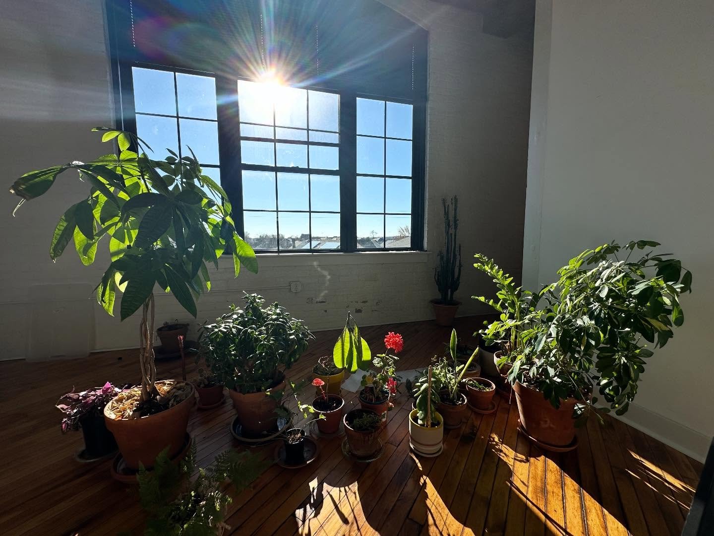 South-Facing Loft
Now Leasing ☀️☀️☀️