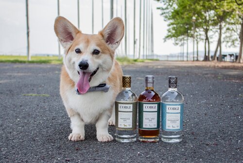 Corgi+%26+Bottles.jpg