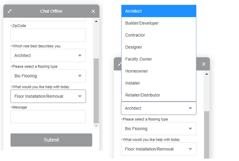    Figure - Snap-In Chat (Customer facing)   