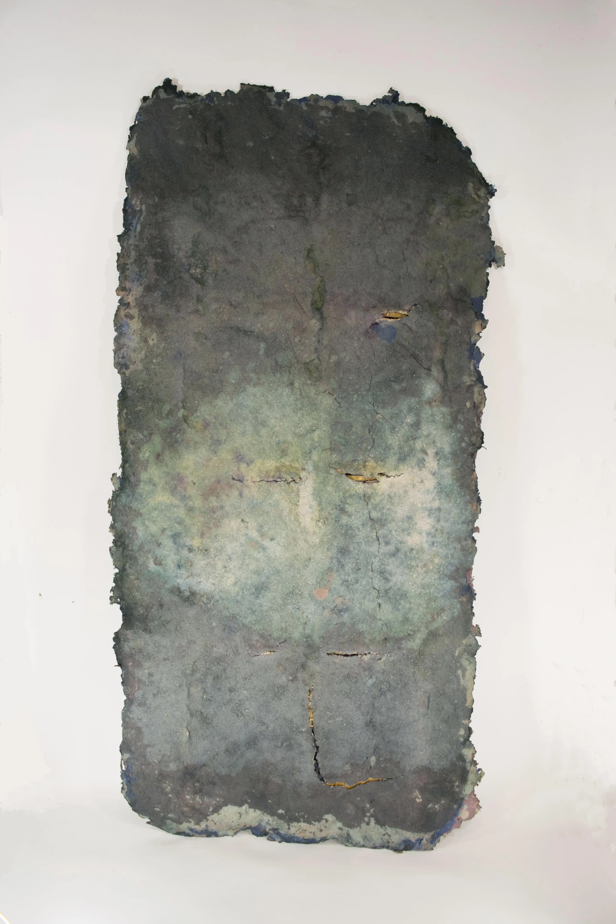   Chapon , paper pulp, 6 x 4 feet, 2016.       