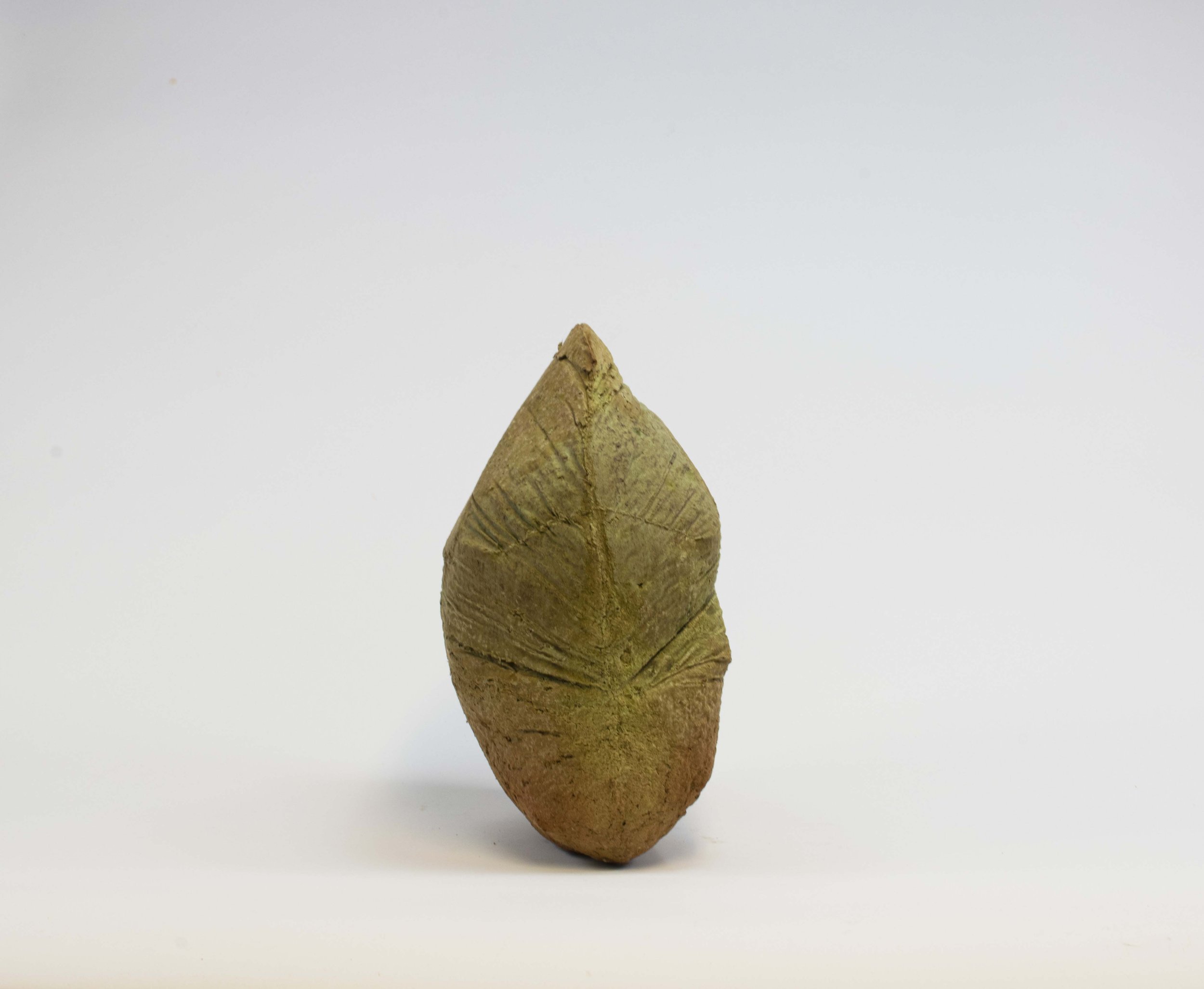   Semilla , paper pulp, 14 x 9 x 8inches, 2019. 