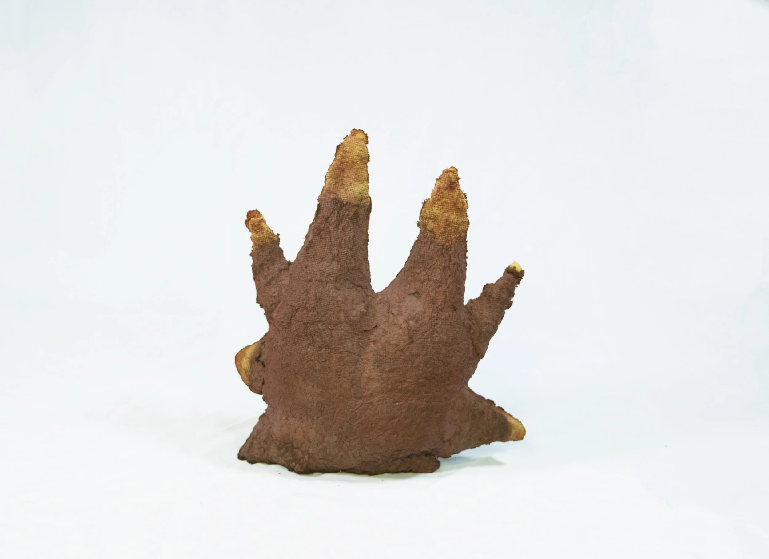  Mano con uñas, paper pulp, 7 x 6 x 4 inches, 2019.    
