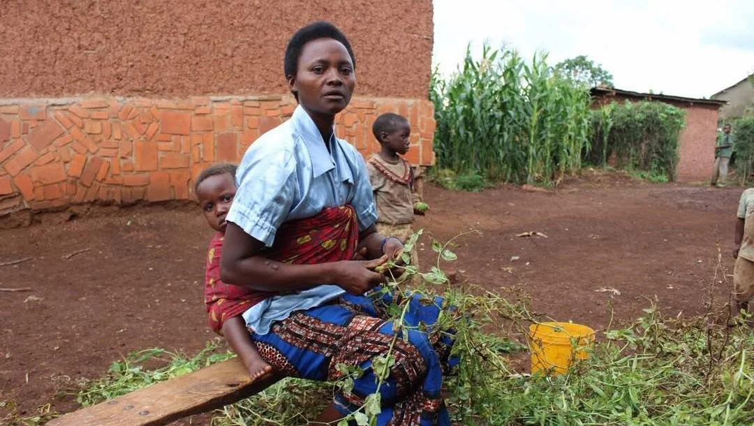 WhatsApp Image 2017-12-11 at 12.57.42 PM.jpeg