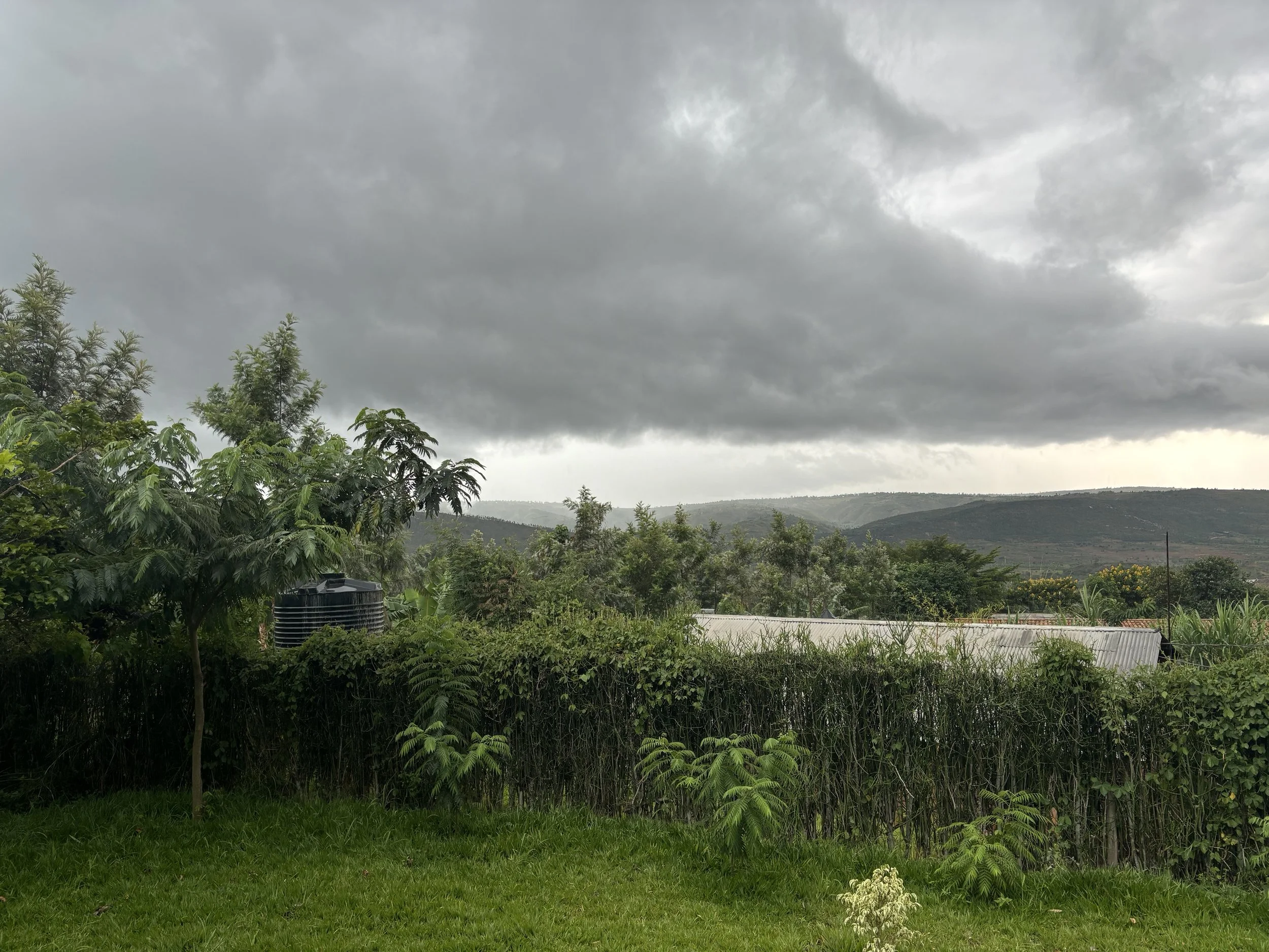 The Rain Always Passes