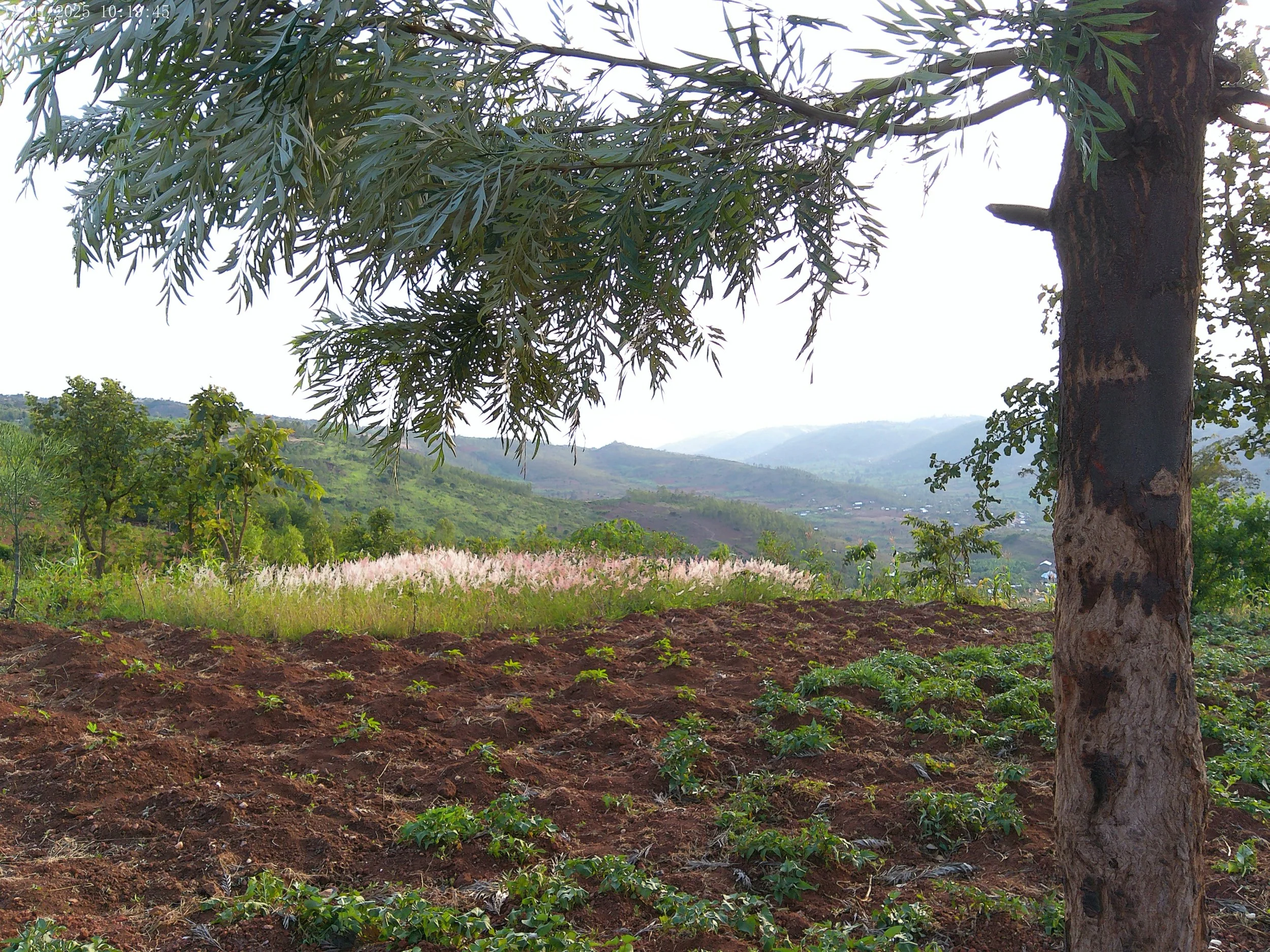 “I understand it now” and other life hacks*