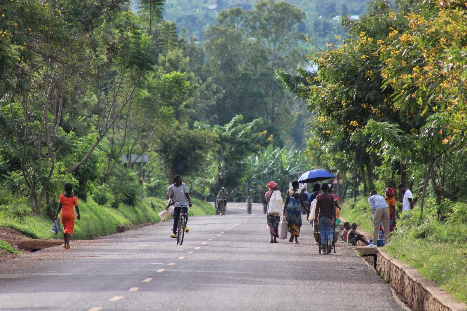 The Calm and The Chaos