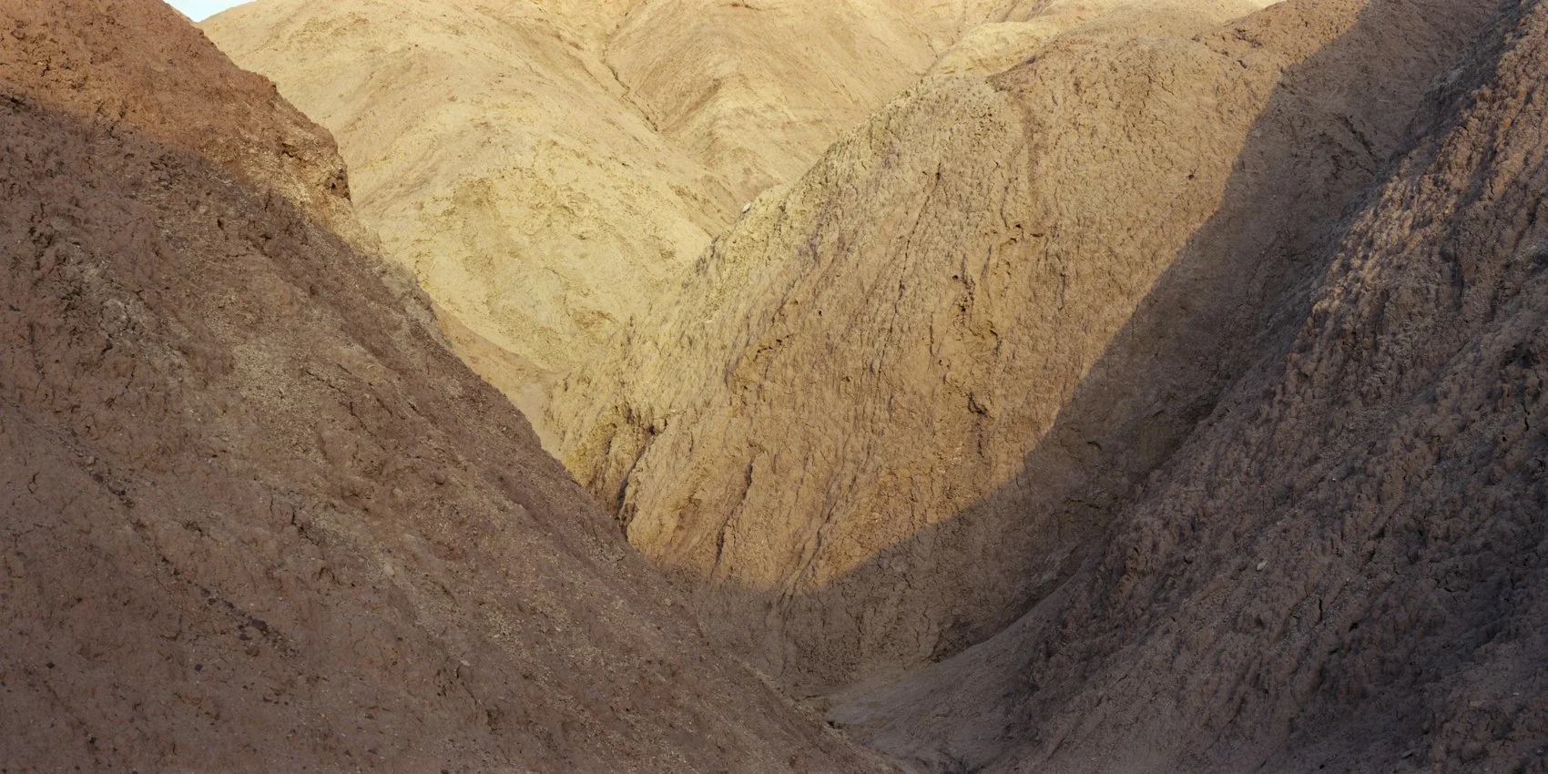 untitled no. 8 from albedo, 60" x 30", Digital chromogenic print, 2025