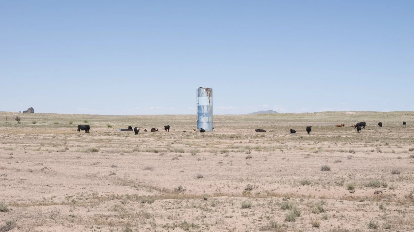 untitled no. 8 from Western Land Studies, 20" x 24", Archval Inkjet Pigment print, 2025