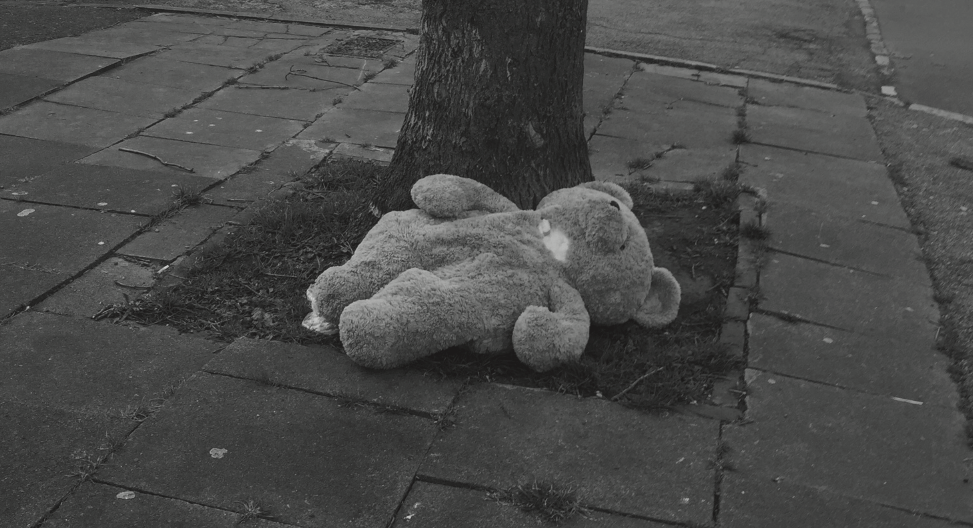 FSC Teddy Bear.png
