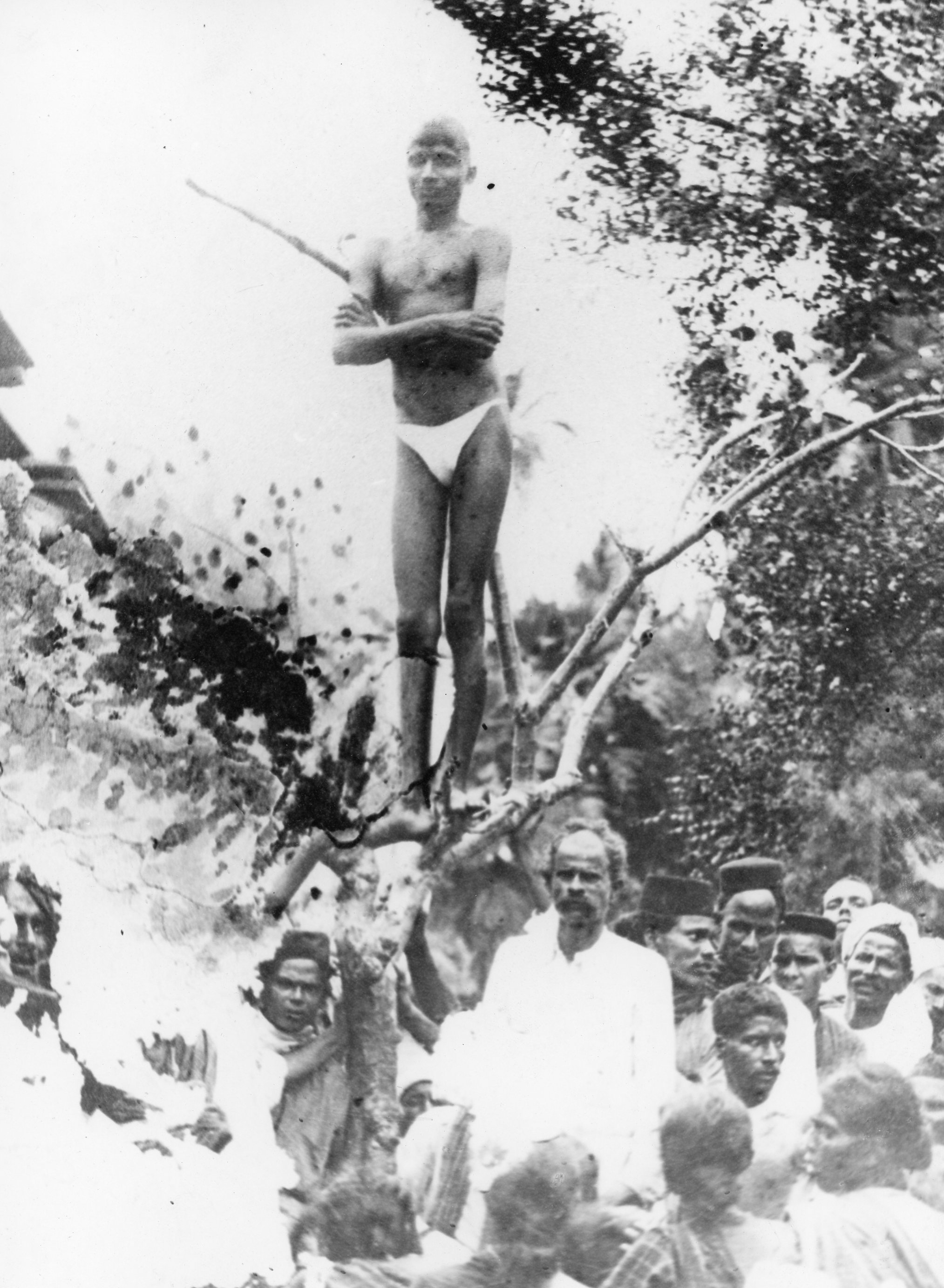 Nityananda liked to stand in trees and shower his devotees with gifts.