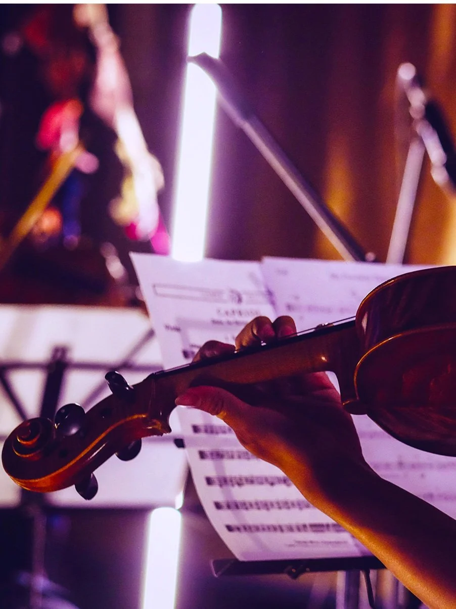 Ovation Violin